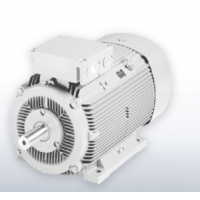 德國VEM滑環感應電動機S11R系列