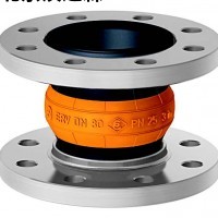 Elaflex ERP DN 125橡膠膨脹節 ELAFLEX ERP DN 125橡膠膨脹節