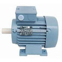 VEM永磁同步電動機