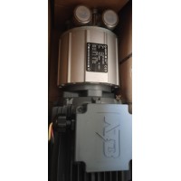 Speck斯貝克泵業 側面通道泵 SK-MK系列
