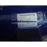 GROSCHOPP齒輪電機  優勢供應