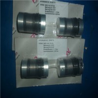 原裝進口德國R+W金屬波紋管與圓錐形聯軸器BK3