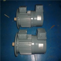 專業銷售石油、化工和天然氣工業電機-VEM