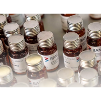 BAM電氣儲能實施發展鋰電池至關重要