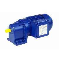 BS系列小型工業蝸輪減速電機 德國 Bauer Gear Motor