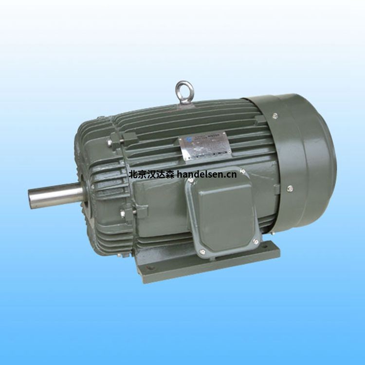 DUTCHI品牌松鼠籠工業級HJN315LX2E2U46R R14電機