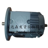 VEM滑環電機SPER132M4