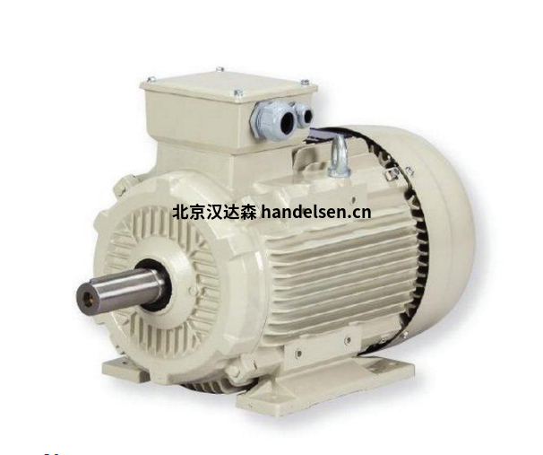 mattke SM系列異步電機 mattke SM系列異步電機