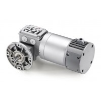 Minimotor 渦輪蝸桿驅動器電動機簡介