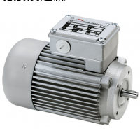Mini Motor 同軸減速電機型號及產品介紹 Mini Motor 3