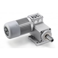Mini Motor 齒輪電機產品型號介紹