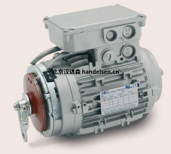 MTmotori特殊電機 MTmotori特殊電機產品介紹