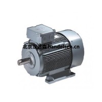 德國VEM節能電機W21R型號簡介