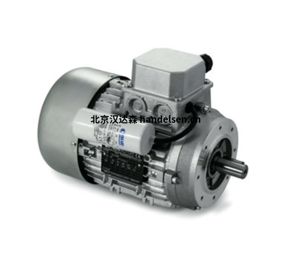 nerimotori DP系列雙速三相電機 nerimotori DP系列雙速三相電機