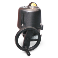 VALPES 電動執行器 LT150.90Ax.G00  扭矩：150牛米