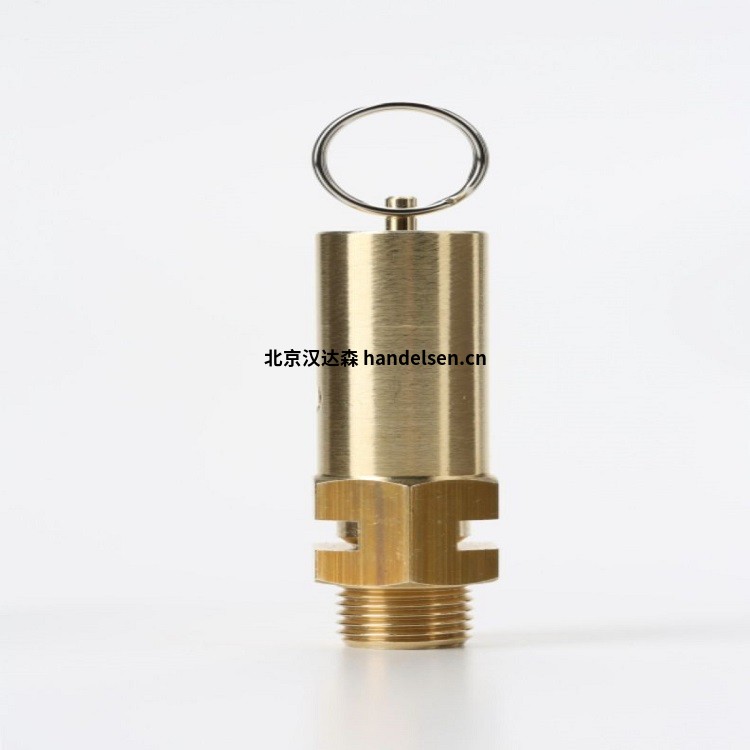 意大利Nuova General G10管道排放安全閥