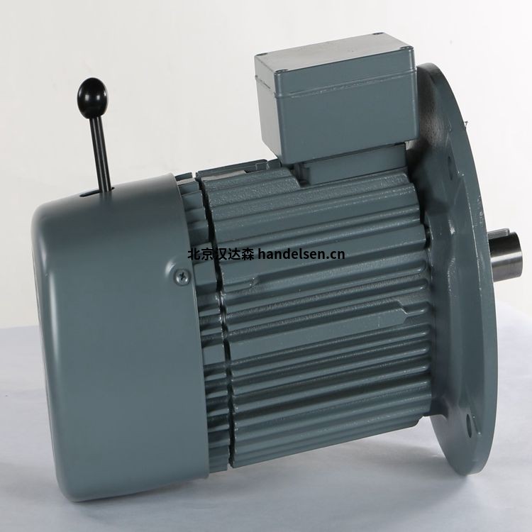 VEM永磁同步電機IE2-WE1R 132 S2T VEM永磁同步電機IE2-WE1R 132 S2T