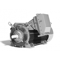 Brook Crompton 高輸出功率電機W系列，輸出功率160kW到4000kW