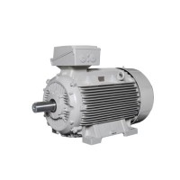 Lammers防爆電機 1TZ9002-0BA6效率等級：IE2、IE3