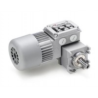 意大利Mini Motor齒輪電機MCE 165P3適用于高溫環境