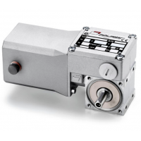 Mini Motor 蝸輪蝸桿直流減速電機BC2000-24MP，永磁直流電，全封閉