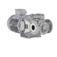 Johnson Pump 內嚙合齒輪泵，適用于中等粘度、清潔和非磨蝕性液體
