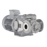 Johnson Pump 內嚙合齒輪泵，適用于中等粘度、清潔和非磨蝕性液體