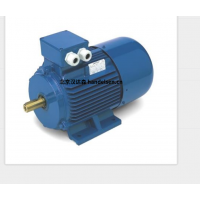 意大利 OEMER QSR 系列電機：革新工業動力的同步磁阻杰作